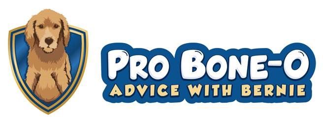 Pro Bone O Logo 